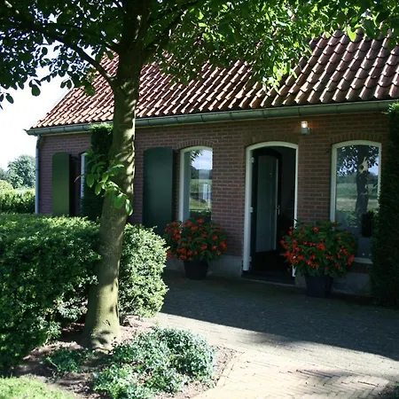 De Borg